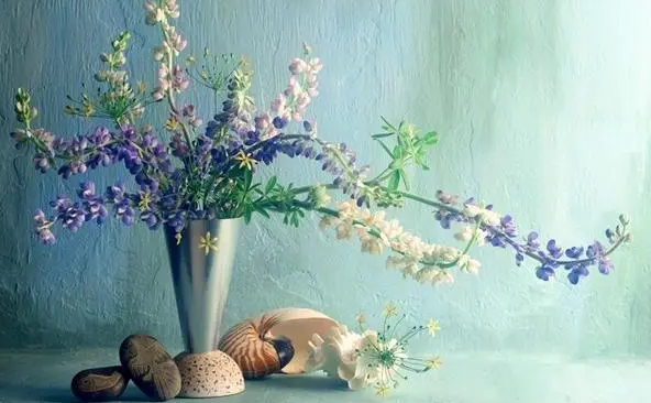 ΢��ͼƬ_20231106155147.png