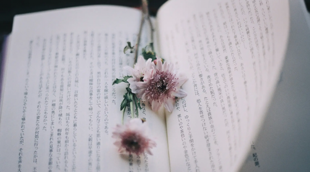 ΢��ͼƬ_20231106155031.png