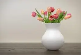 ΢��ͼƬ_20231211150205.png